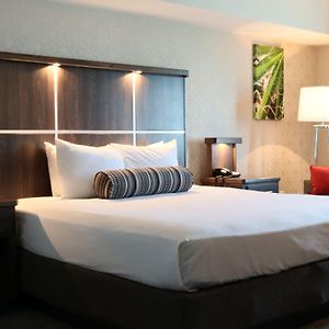 Luxury King Room Non-Smoking